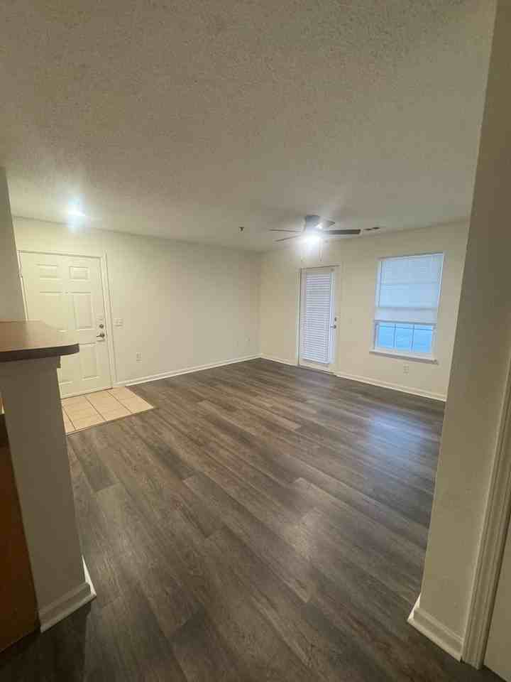 Spring Lake - Photo 2 of 13