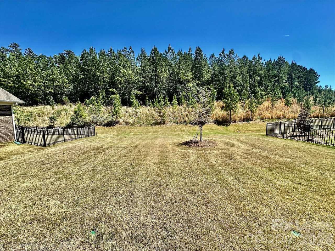 9650 Liberty Hill Dr - Photo 2 of 43