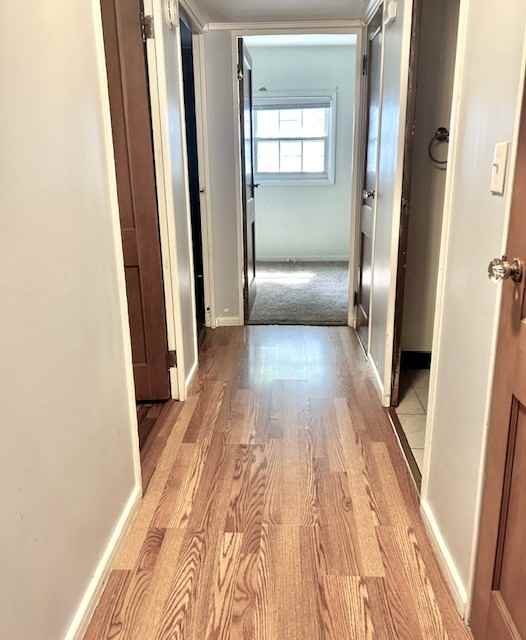 302 Kelly Ct #1 - Photo 7 of 18