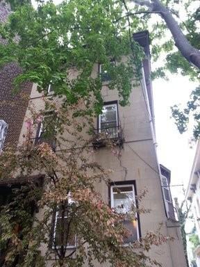 503 S 41st Street - Photo 3 of 28