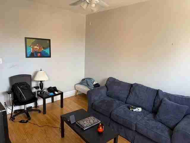 1933 N Damen Ave #3 - Photo 3 of 12