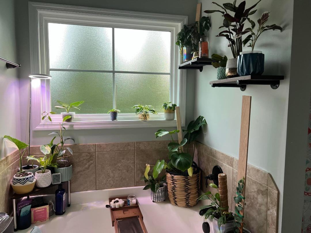 1111 Rosland Cir #1 - Photo 7 of 9