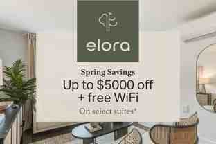 Elora - Photo 1 of 1