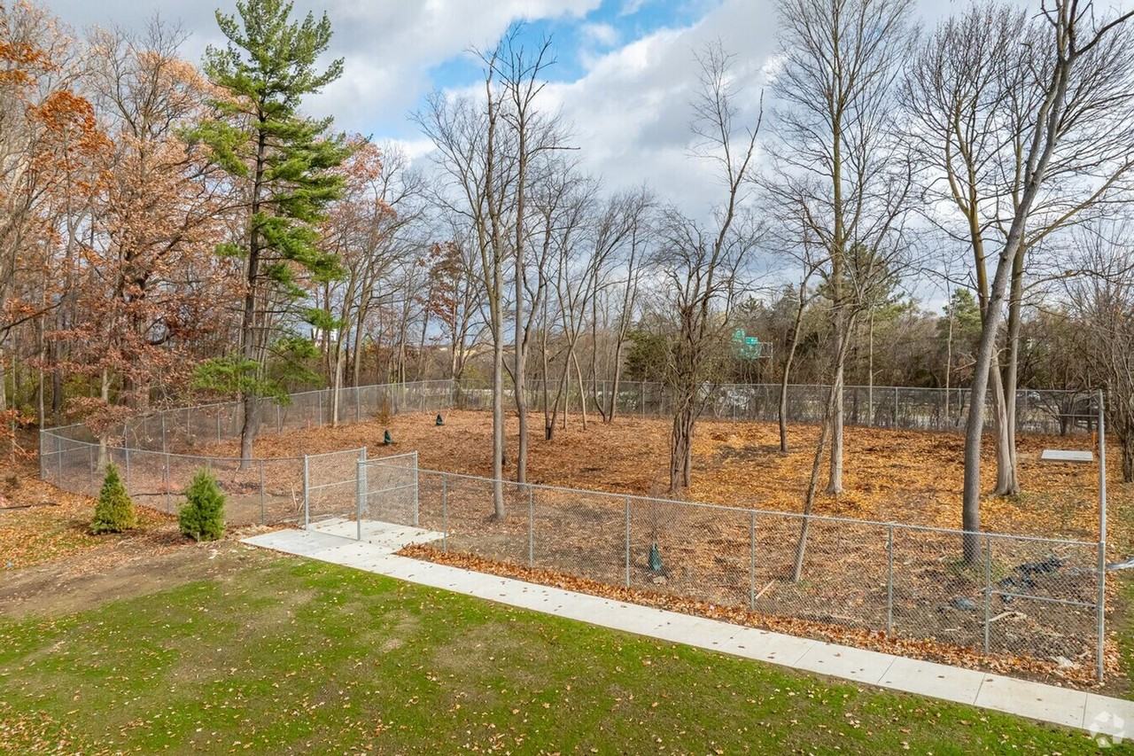 Brightdawn Village Apartments - Photo 6 of 28