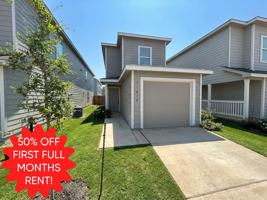 featured image of 11026 11026 Tree Line