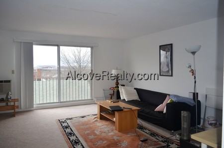 41 Belmont Street #33 - Photo 4 of 6