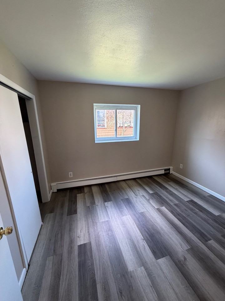 30 Doubleday Street - Photo 7 of 35