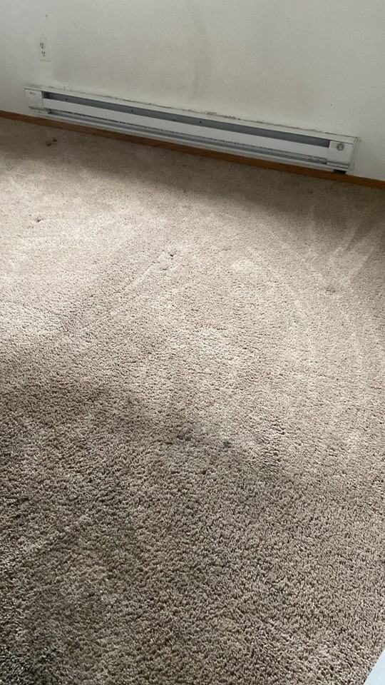 2902 Apt 5 - 31 Street - Photo 4 of 9