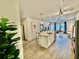 featured image of Fm2165 #NULL