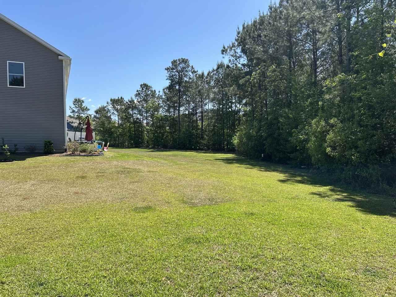 3647 Roseblossom Dr - Photo 6 of 50