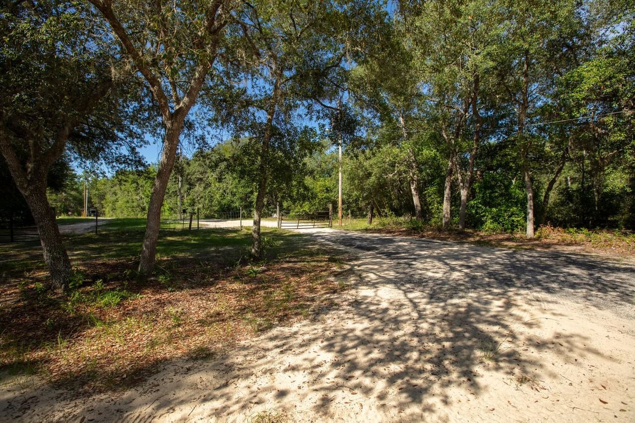 7463 Lilly Ct - Photo 7 of 13