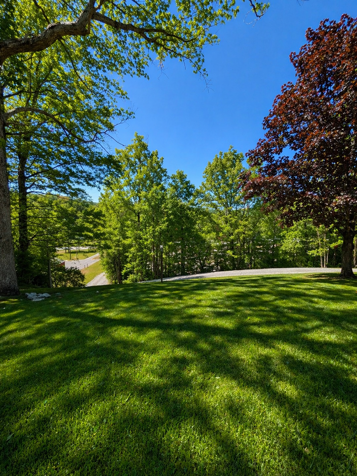 4556 Us 221 N - Photo 5 of 20