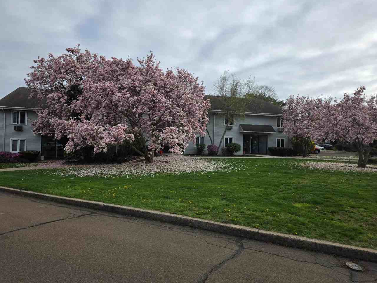 103 Florence Rd - Photo 2 of 20