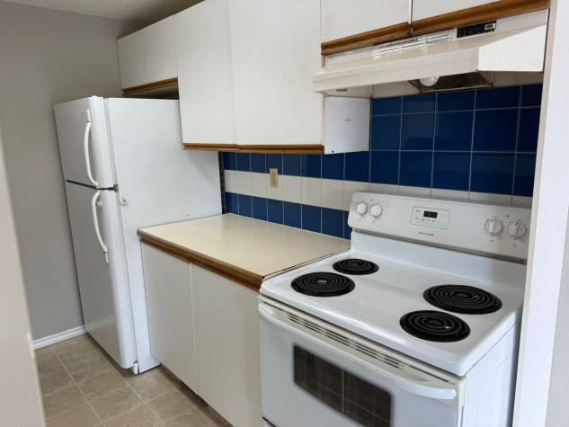 3 Bedroom Unit in Highland Green!!! - Photo 3 of 20