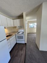 4131 11th Ave Ne #608 - Photo 1 of 1