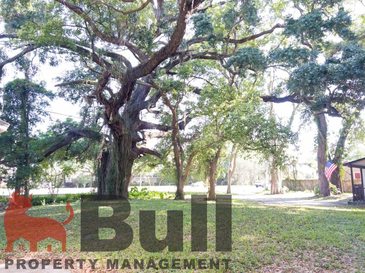 105 Jergo Rd #1 - Photo 6 of 6