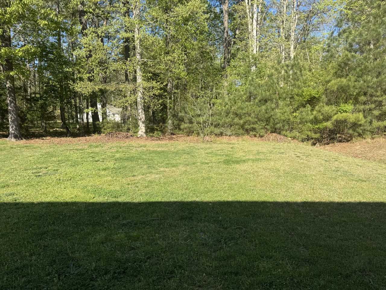 4155 Captains Corridor #1 - Photo 6 of 31