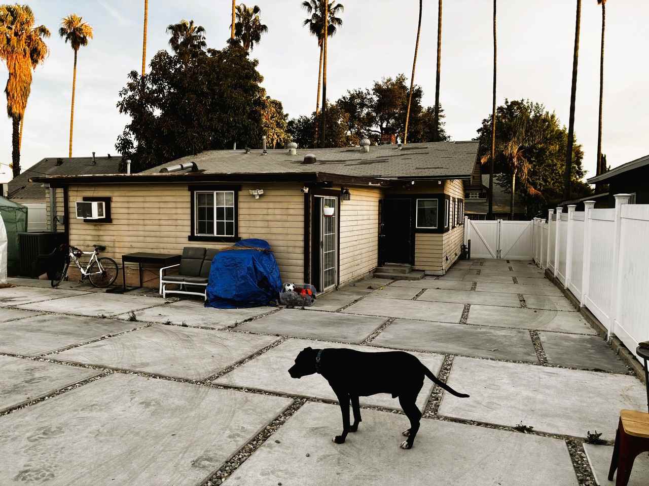 831 East Mountain Street - Photo 4 of 24