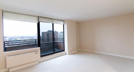 71 Somerset St W - Photo 4 of 14