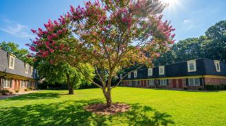 Country Club Apartments - Photo 1 of 1