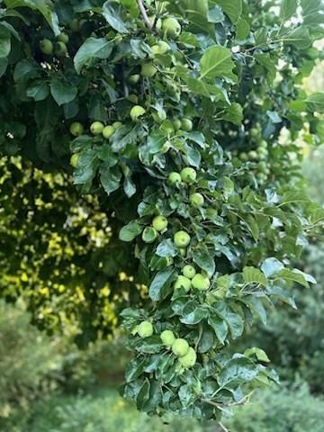 2115 Hwye #19 - Photo 4 of 9