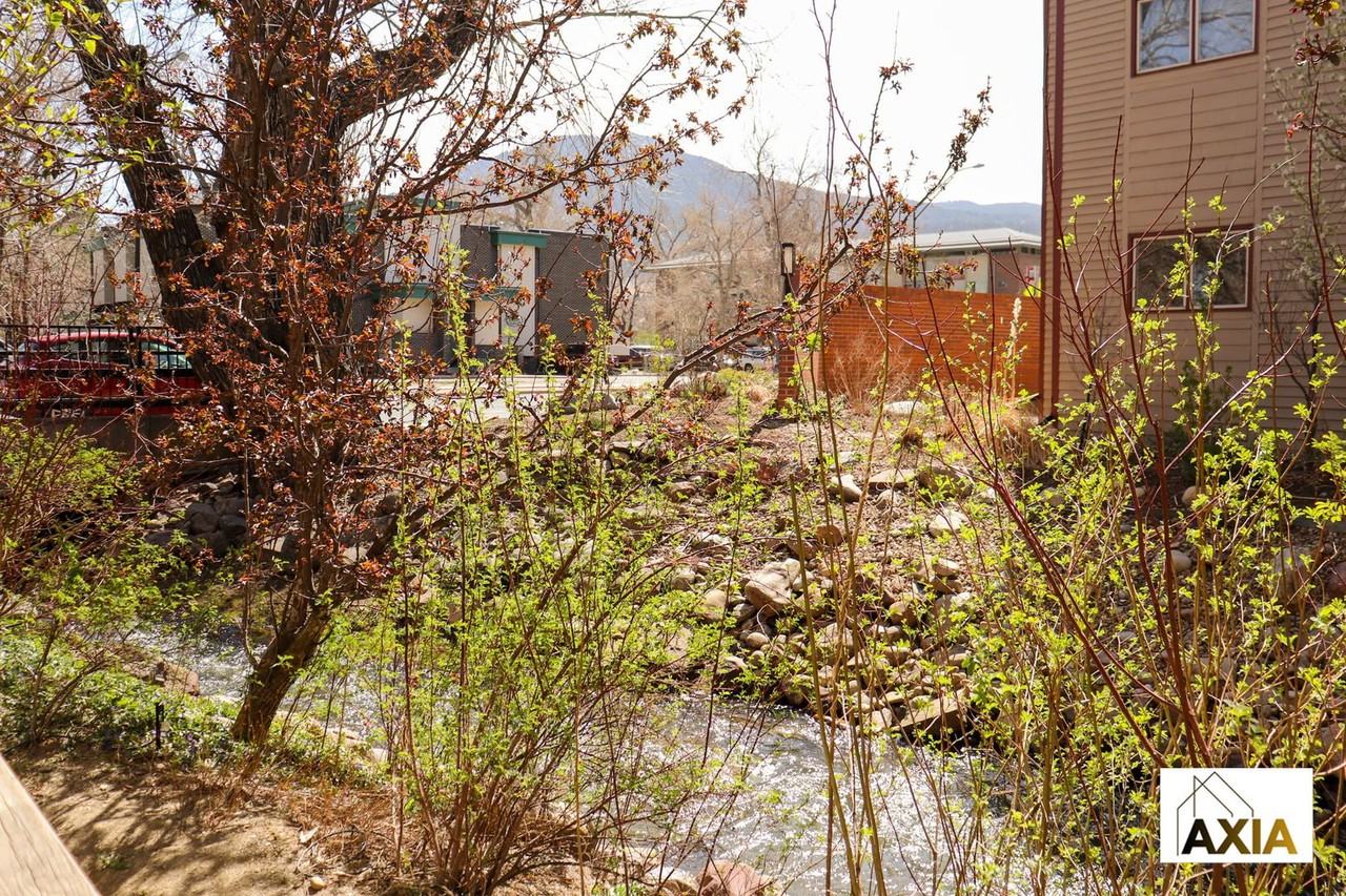 Maple Creek - Photo 7 of 16