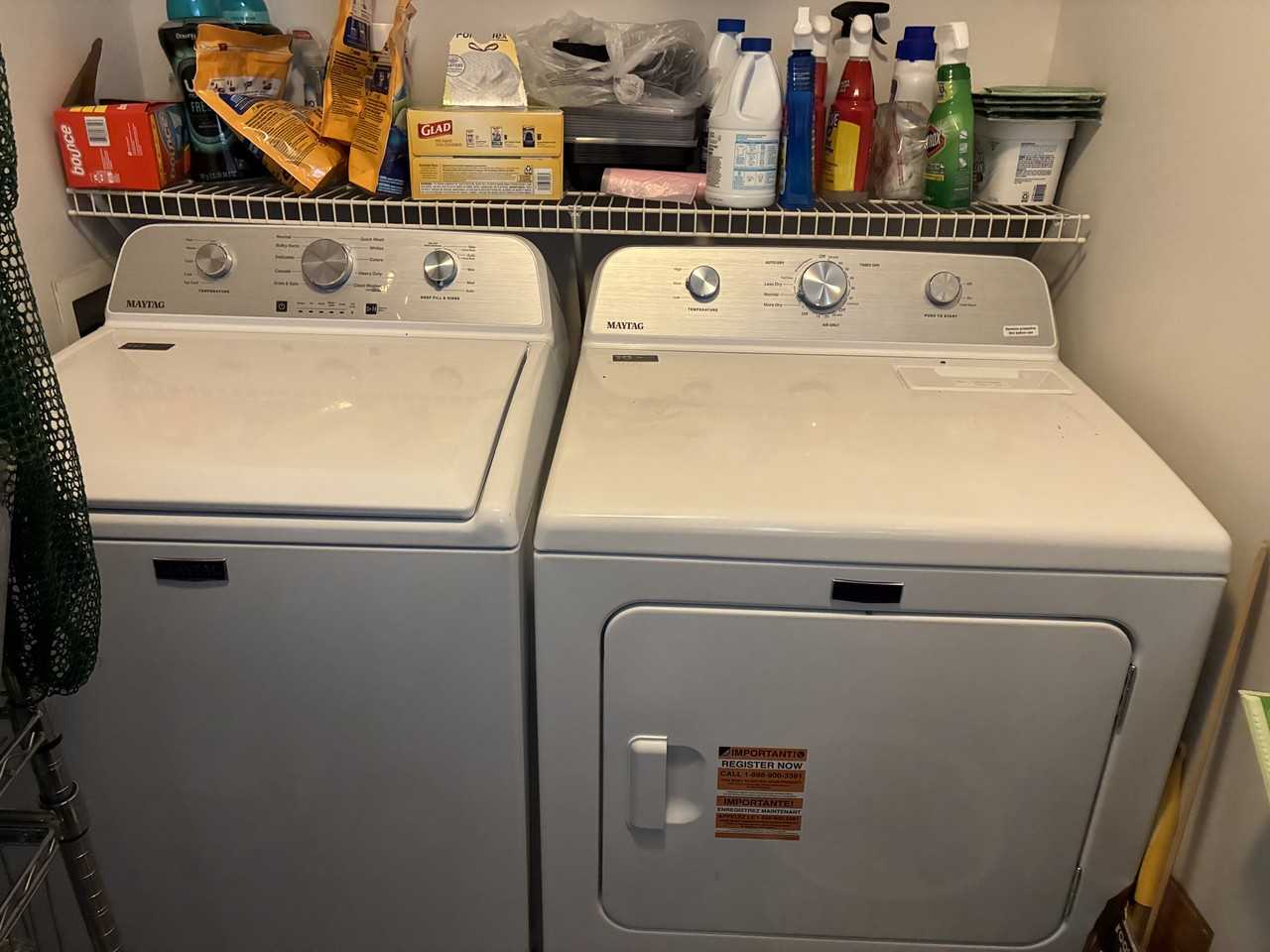 8803 Riley Ave #1 - Photo 5 of 6