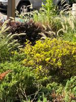 featured image of 1036 Howard St #1