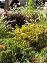 1036 Howard St #1 - Photo 1 of 1