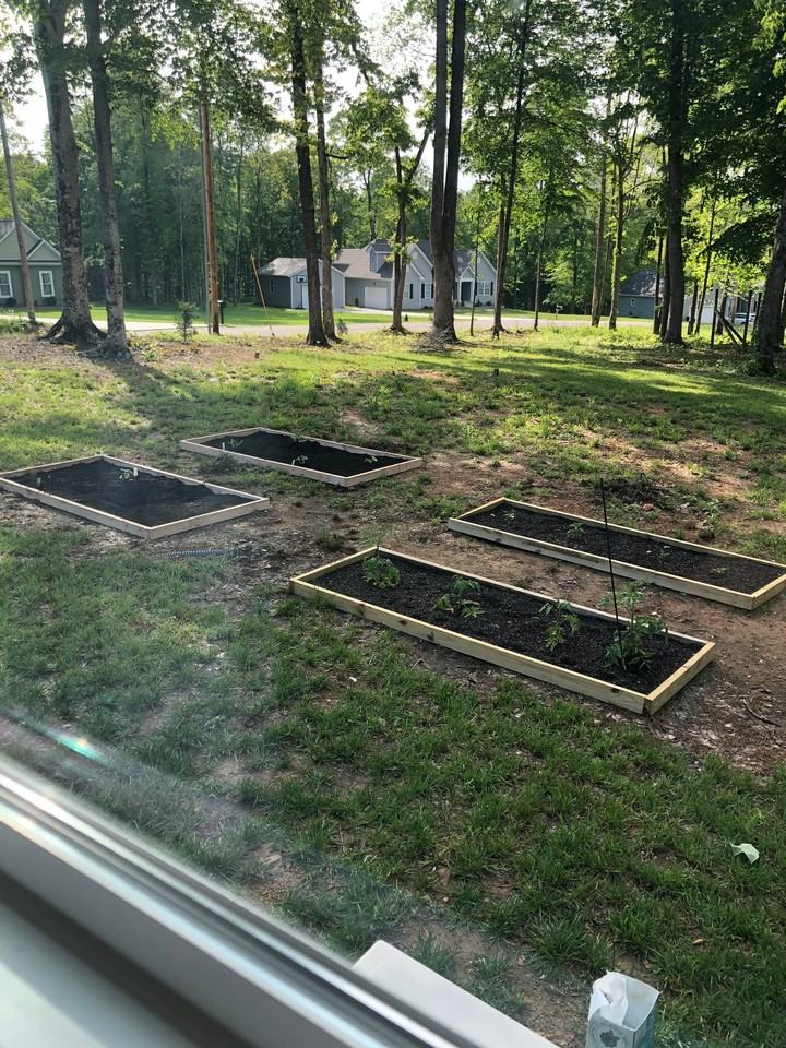 300 Clancey Ln - Photo 6 of 15