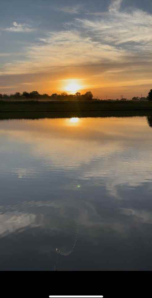 4150 Viva Ln - Photo 2 of 4