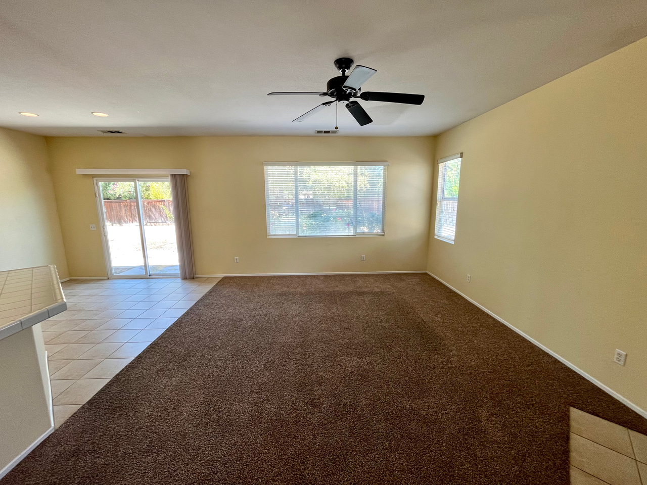 1559 Park Meadows Drive - Photo 7 of 29