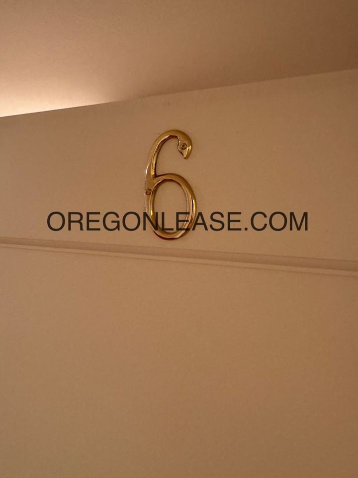 1223 Ferry St #6 - Photo 2 of 11