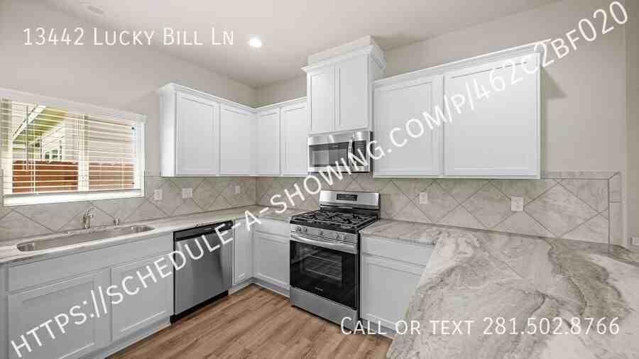 13442 Lucky Bill Ln - Photo 4 of 12