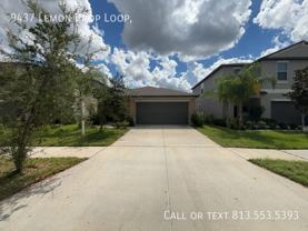 9437 Lemon Drop Loop - Photo 1 of 1