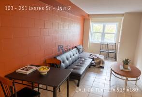featured image of 261 - 261 Lester St #2