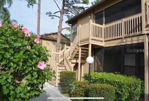 featured image of 5767 Avista Dr #4166