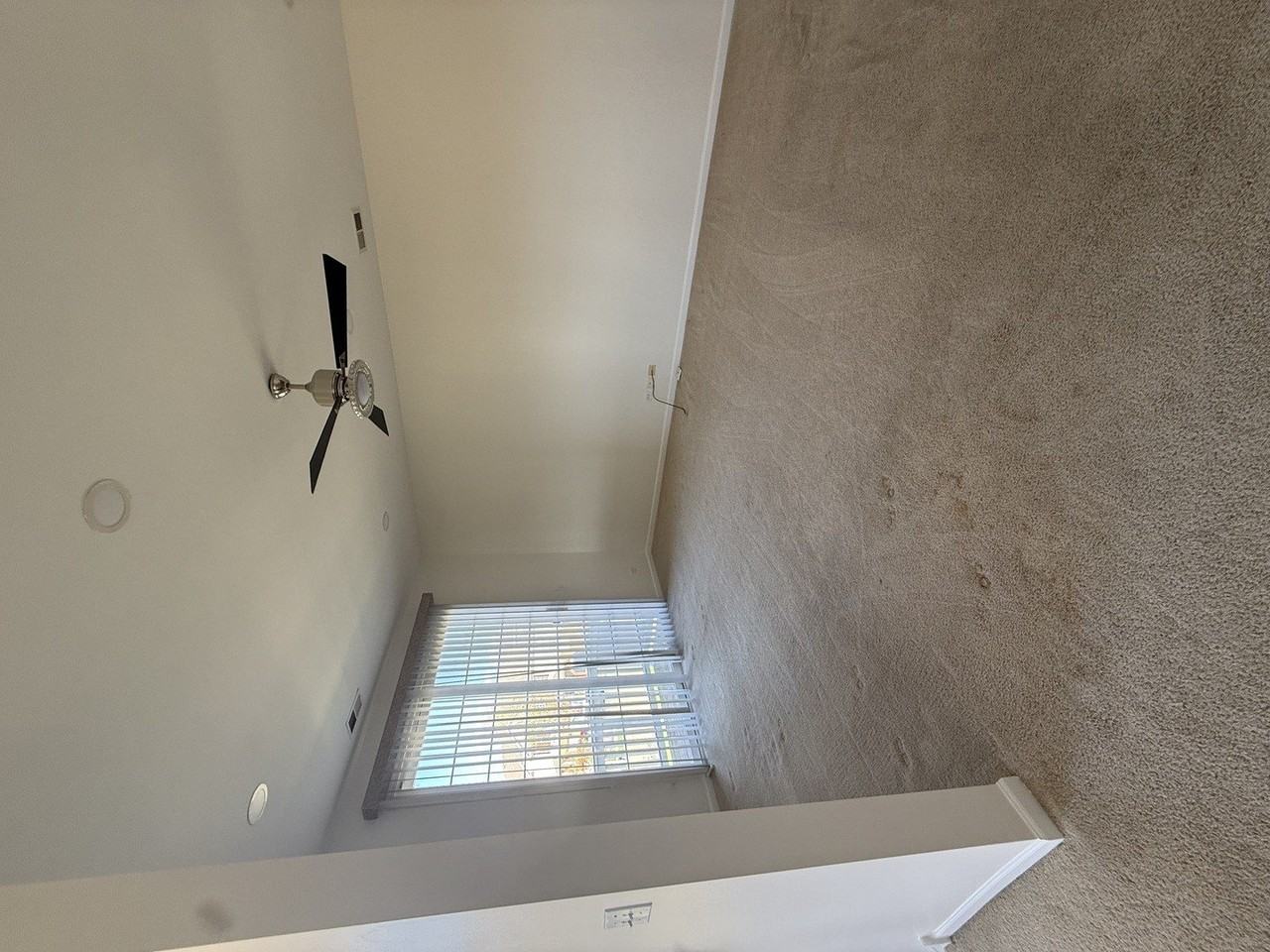 4245 Savoy Ln #4245 - Photo 6 of 11