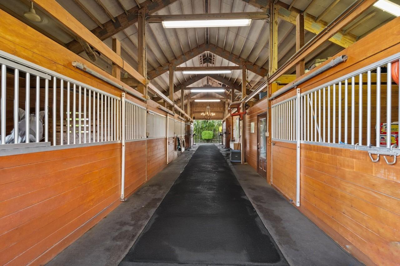 11861 Hawk Holw - Photo 5 of 23