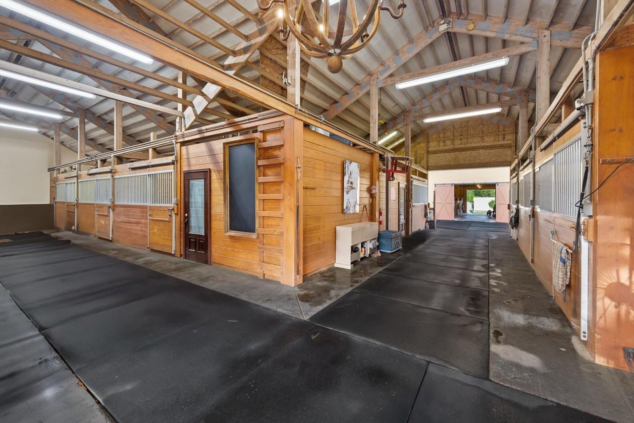 11861 Hawk Holw - Photo 6 of 23