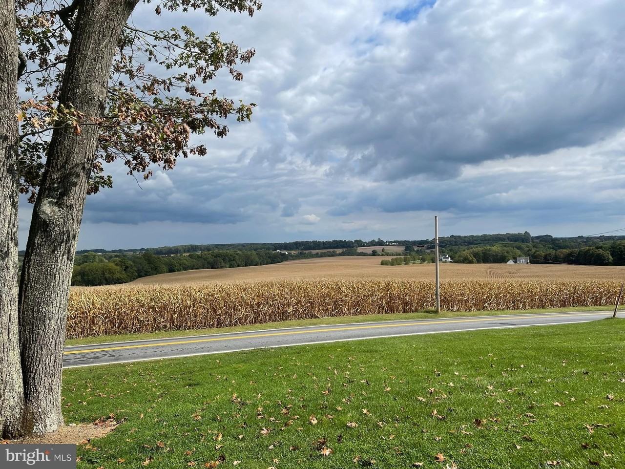 1670 Florence Rd - Photo 4 of 20