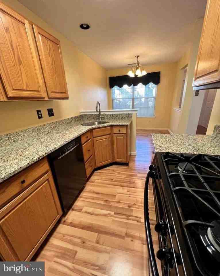 3303 Sterling Rd - Photo 4 of 16