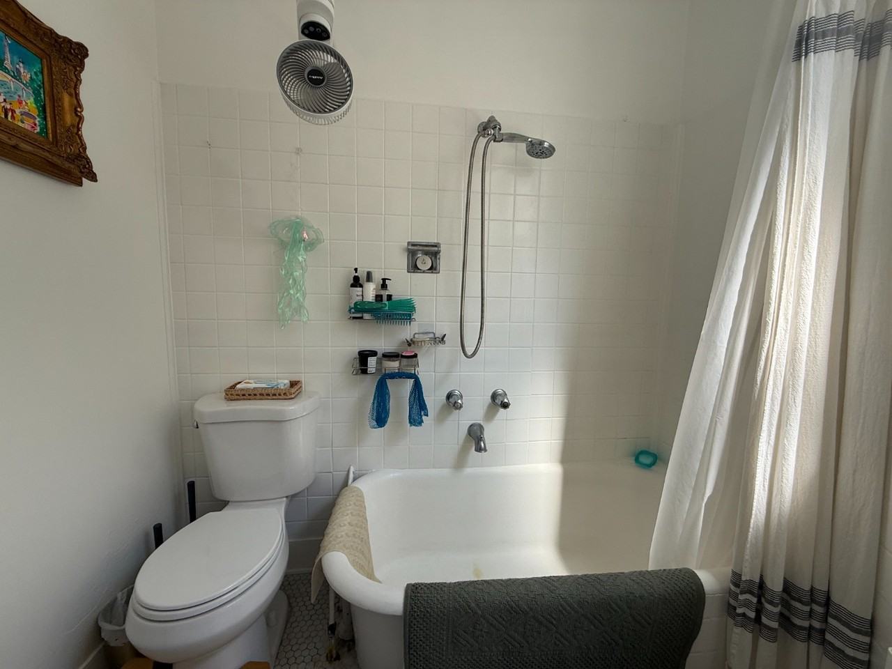 7529 N Rogers Ave #3 - Photo 7 of 8