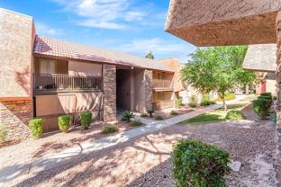 5317 Indian River Dr #295 - Photo 1 of 1