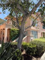 featured image of 18543 Caminito Pasadero