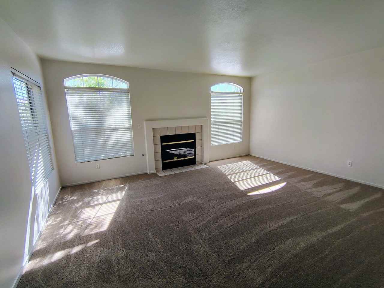 10169 Rolling Tree St - Photo 2 of 17