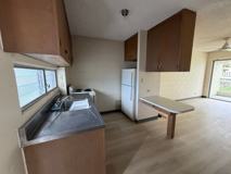 Tree Haven - Photo 1 of 1