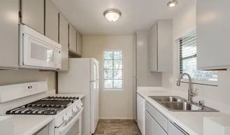 10305 Azuaga St - Photo 1 of 1