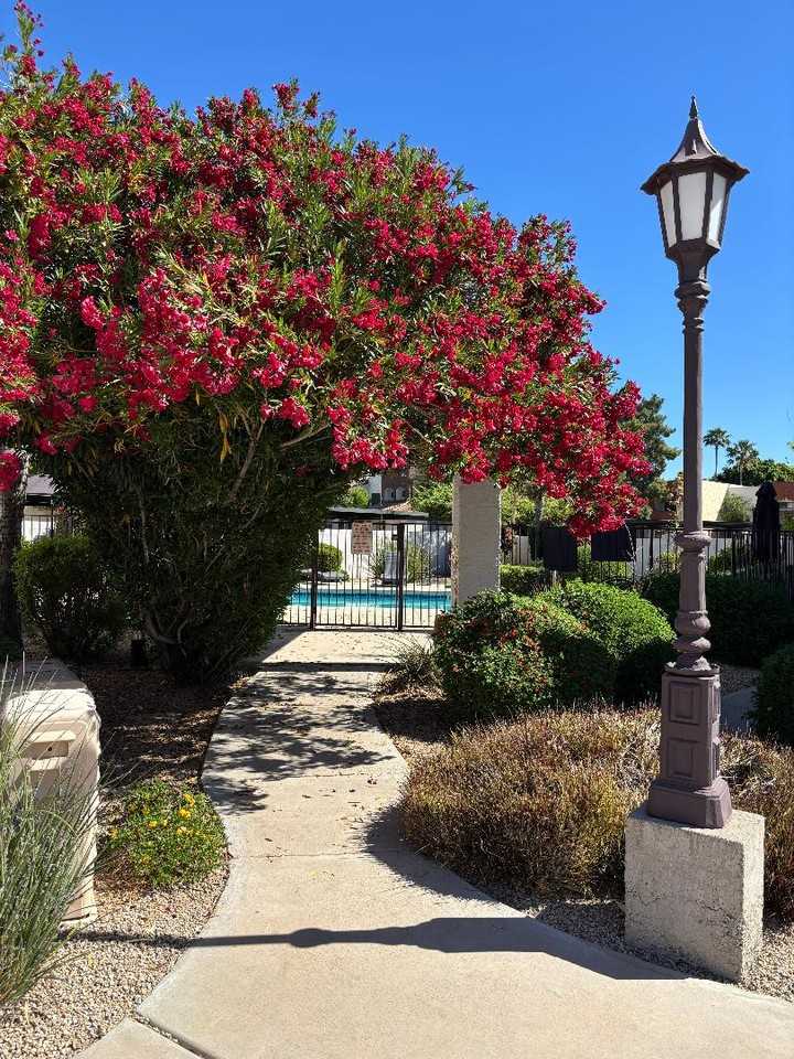 5624 E Kelton Ln #5624 - Photo 2 of 2