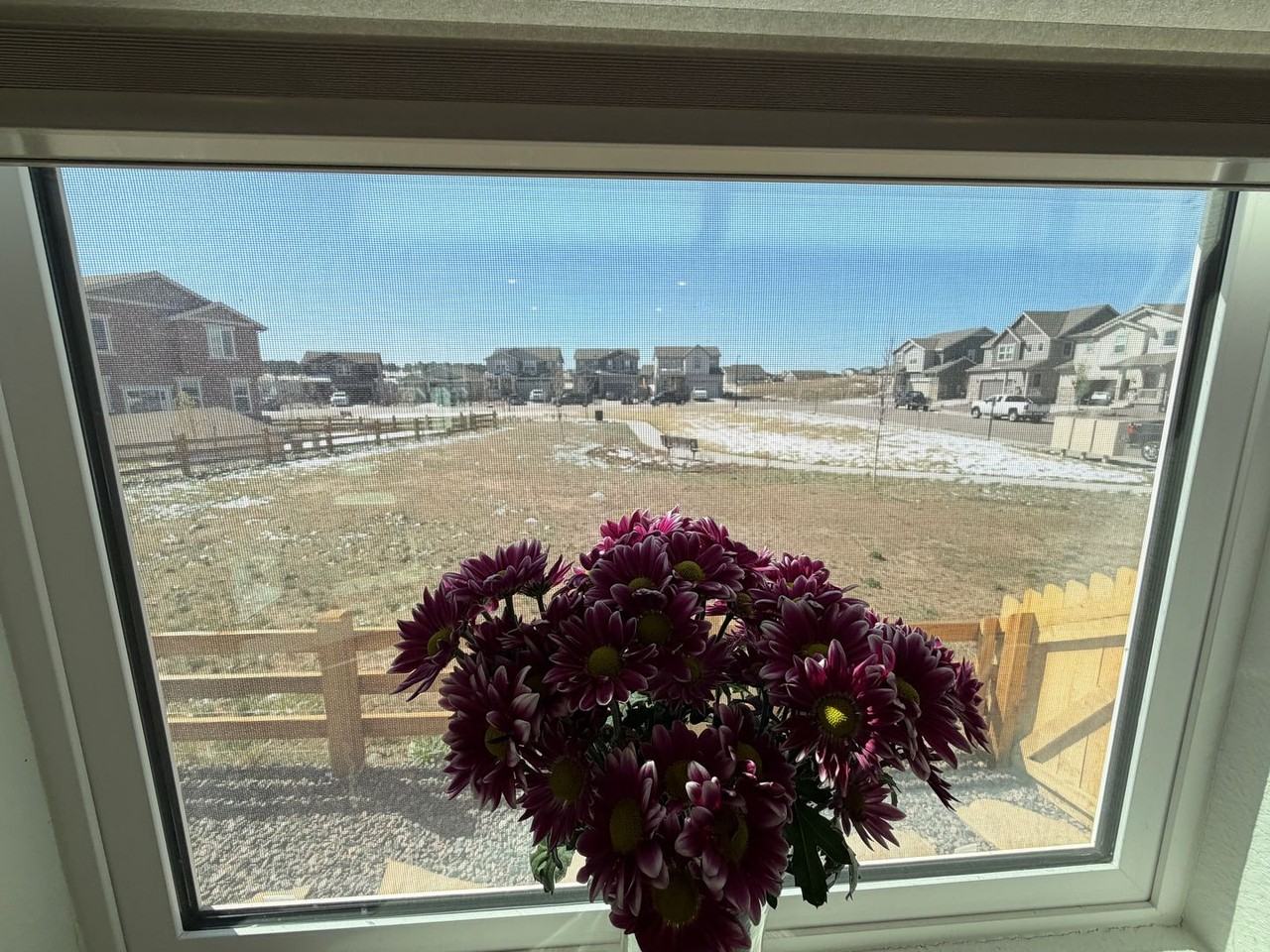 755 Yankee Boy Loop - Photo 6 of 35